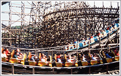 Busch Gardens Tampa Attractions